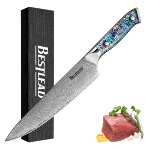 HB-44 BESTLEAD® Damascus Steel 8" Chef Knife with Genuine Deep Sea Abalone Shell Handle- 67 Layer Japanese VG10 Forged Steel Blade with Angled Handle (8" Chef Knife)