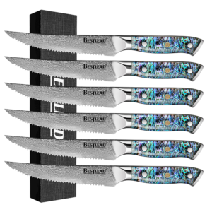 HB-51  6PCS Steak Knife with Deep Sea Abalone Shell Handle - 67 Layer Japanese VG10 Forged Steel Blade with Chamfered Handle