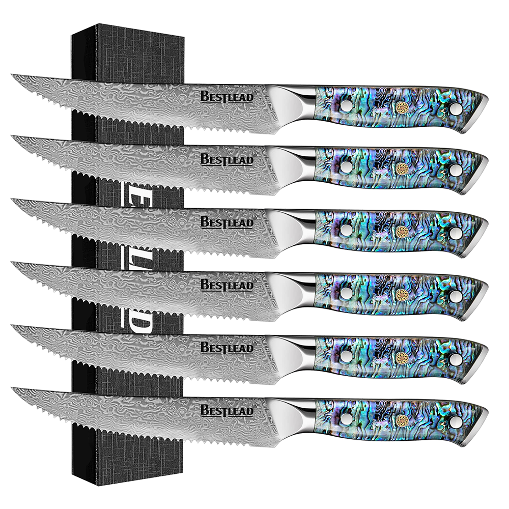 HB-51 6PCS Steak Knife with Deep Sea Abalone Shell Handle – 67 Layer Japanese VG10 Forged Steel Blade with Chamfered Handle