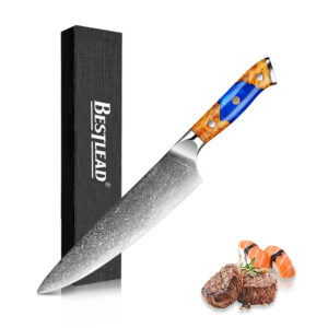 HB-23-CSD Factory Made Damascus Steel Knives Abalone Shell Handle Quality Knives