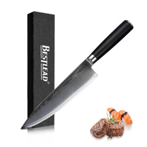 YTB-12-CSD High Quality 67 Layer Damascus Steel Professional Classic Damascus Knife Genuine Damascus Steel Chef's Knife with G10 Handle